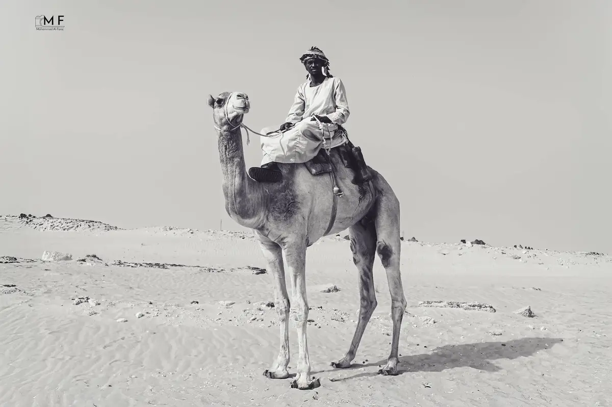 معدات درون احترافية